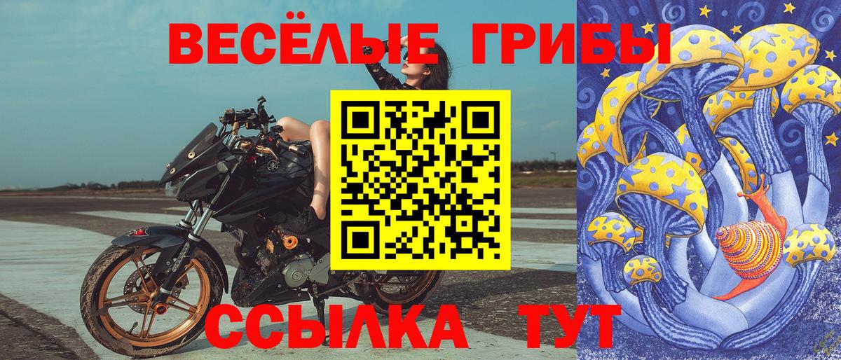Псилоцибиновые грибы Psilocybine cubensis  Вход с VPN  Псков  Псилоцибиновые грибы ЛСД 