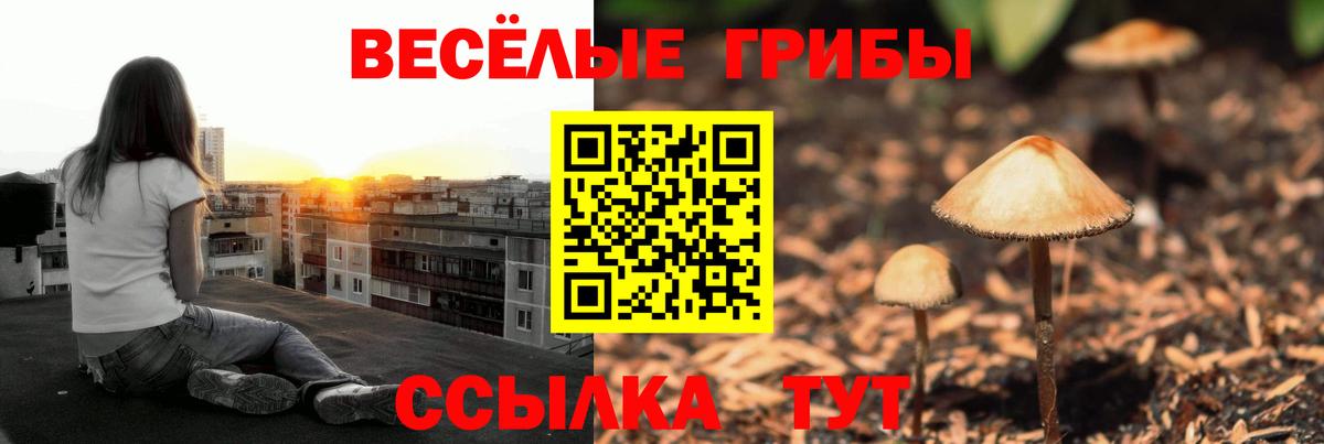 Галлюциногенные грибы прущие грибы Псков